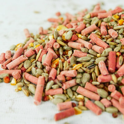 1L SQUAWK Premium Wild Bird Food - All Season Seed Quality Garden Feed Mix - 3