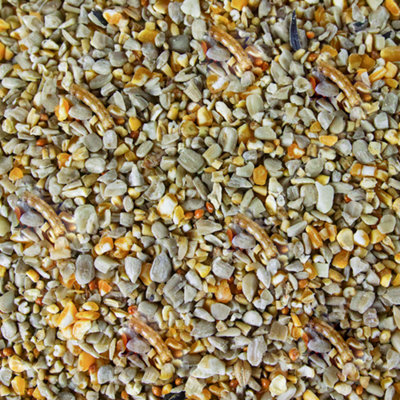 1L SQUAWK Robin & Songbird Food - Protein Rich Wild Bird Seed Mix For Garden Birds - 3