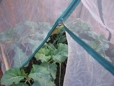1m Square Cloche Raised Bed Insect Net Cover