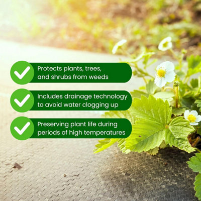 1m x 2m Heavy Duty Weed Control Membrane - 100gsm Weed Suppressant for Garden - 6