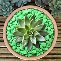 2.5kg Black Coloured Plant Pot Garden Gravel - Premium Garden Stones for Decoration