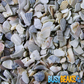 2.5kg BusyBeaks Hen Sized Oyster Shell - Premium Grade High In Calcium Poultry Grit