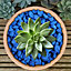 2.5kg Dark Blue Coloured Plant Pot Garden Gravel - Premium Garden Stones for Decoration