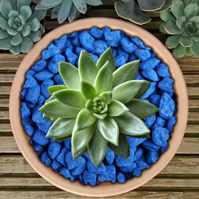 2.5kg Dark Blue Coloured Plant Pot Garden Gravel - Premium Garden Stones for Decoration