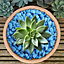 2.5kg Fluroescent Blue Coloured Plant Pot Garden Gravel - Premium Garden Stones for Decoration