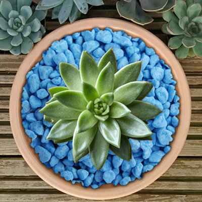 2.5kg Fluroescent Blue Coloured Plant Pot Garden Gravel - Premium Garden Stones for Decoration