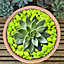 2.5kg Fluroescent Yellow Coloured Plant Pot Garden Gravel - Premium Garden Stones for Decoration