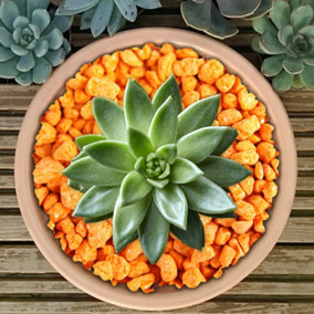 2.5kg Orange Coloured Plant Pot Garden Gravel - Premium Garden Stones for Decoration