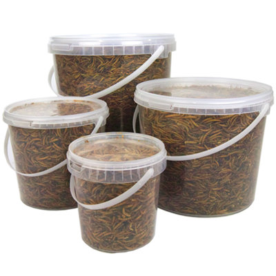 2.5L SQUAWK Dried Mealworms - Premium Quality Wild Bird Food Garden Snacks For Birds - 4