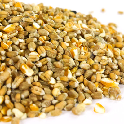 2.5L SQUAWK Mixed Poultry Corn - Nutritious Protein Rich Food For ...