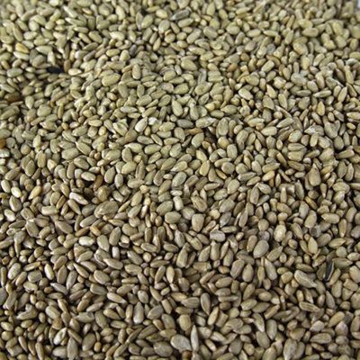 2.5L SQUAWK Sunflower Hearts - Bakery Grade Seed Kernels No Mess Wild Bird Food - 3