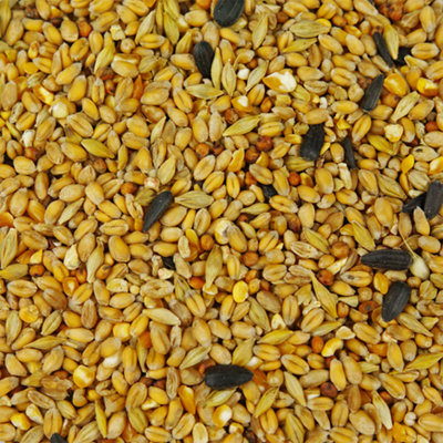 2.5LSQUAWK All Seasons Wild Bird Food Mix - Year Round Quality Garden Feed