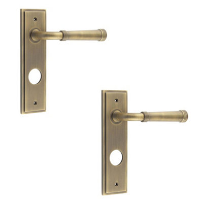 2 PACK Antique Brass Bathroom Door Handle with Backplate - Luxury Design - Solid Brass Interior Handle