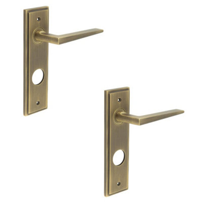 2 PACK Antique Brass Door Handle with Backplate for Bathrooms Solid Brass - Interior Handle