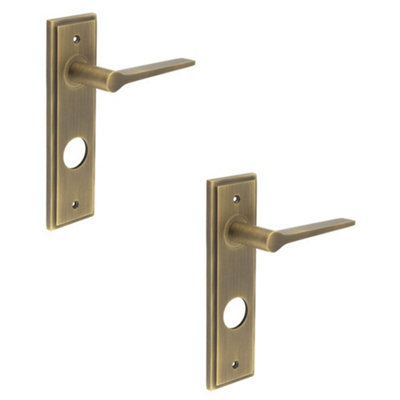 2 PACK Antique Brass Door Handle with Backplate for Bathrooms Solid Brass Interior Handle
