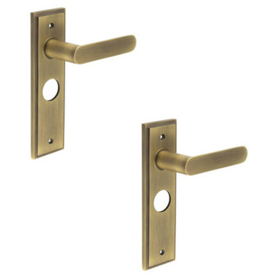 2 PACK Antique Brass Door Handle with Elegant Backplate for Bathrooms - Solid Brass Interior Handle