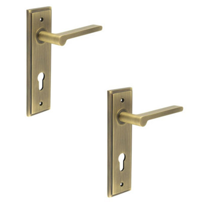 2 PACK Antique Brass Door Handle with Euro Backplate Solid Brass - Interior Handle