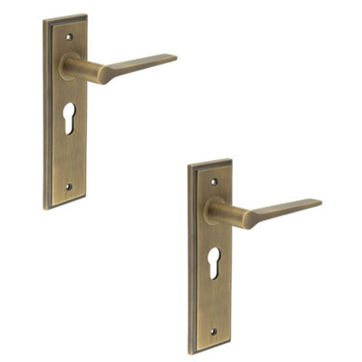 2 PACK Antique Brass Euro Backplate Door Handle - Elegant & Durable - Solid Brass Interior Handle
