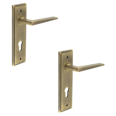 2 PACK Antique Brass Euro Backplate Door Handle for Modern Homes - Interior Handle