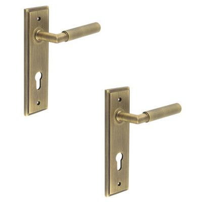2 PACK Antique Brass Euro Backplate Door Handle with Diamond Knurling - Solid Brass Interior Handle