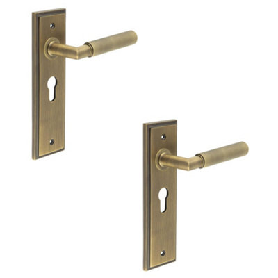 2 PACK Antique Brass Euro Backplate Door Handle with Luxury Design - Solid Brass Interior Handle
