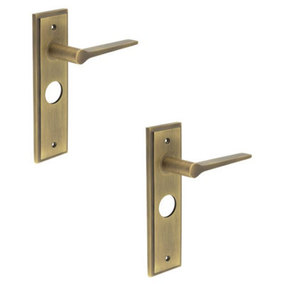 2 PACK Antique Brass Lever Door Handle with Backplate for Bathroom - Solid Brass Interior Handle