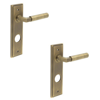 2 PACK Antique Brass Lever Door Handle with Backplate for Bathrooms - Solid Brass Interior Lever