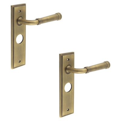 2 PACK Elegant Antique Brass Door Handle with Backplate for Bathroom - Solid Brass Interior Handle
