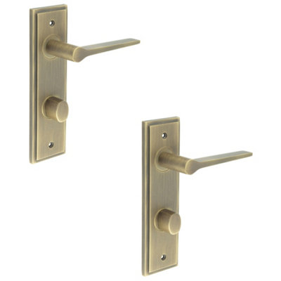 2 PACK Elegant Antique Brass Door Handle with Backplate for Bathrooms - Solid Brass Interior Handle