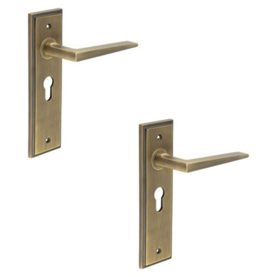 2 PACK Elegant Antique Brass Door Handle with Euro Backplate Solid Brass - Interior Handle