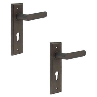 2 PACK Elegant Antique Brass Door Handle with Euro Backplate - Solid Brass Interior Handle
