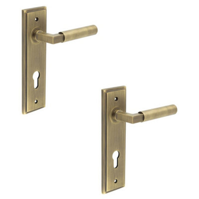 2 PACK Elegant Antique Brass Door Handle with Euro Backplate - Solid Brass Interior Lever Lock Handle