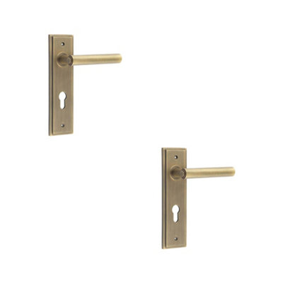 2 PACK Elegant Antique Brass Door Handle with Euro Backplate - Solid Brass Interior Lever