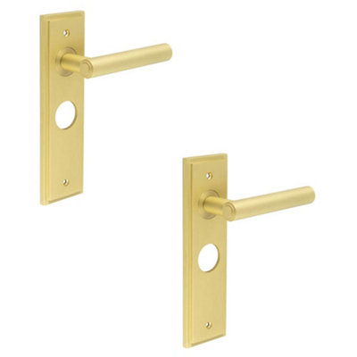 2 PACK Elegant Satin Brass Bathroom Door Handle with Backplate - Solid Brass Interior Lever
