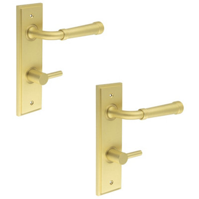 2 PACK Elegant Satin Brass Door Handle with Backplate for Bathrooms - Solid Brass Interior Handle