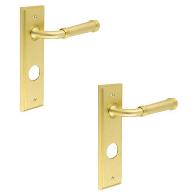2 PACK Elegant Satin Brass Door Handle with Backplate for Bathrooms - Solid Brass Interior Toilet Handle