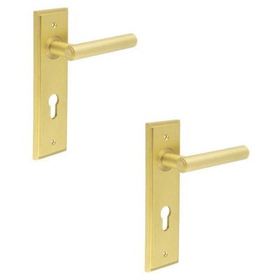2 PACK Elegant Satin Brass Door Handle with Euro Backplate for Luxurious Style - Solid Brass Interior Lever