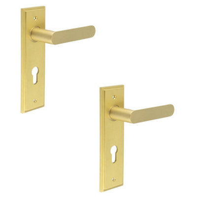 2 PACK Elegant Satin Brass Door Handle with Euro Backplate for Premium Interiors - Solid Brass Interior Handle