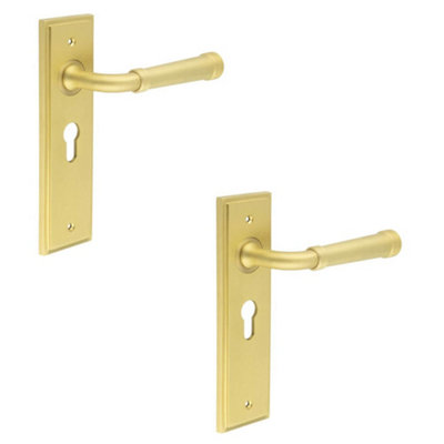 2 PACK Elegant Satin Brass Door Handle with Euro Backplate for Stylish Interiors - Solid Brass Interior Handle