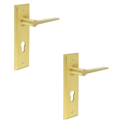 2 PACK Elegant Satin Brass Door Handle with Euro Backplate - Solid Brass Interior Handle