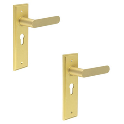2 PACK Elegant Satin Brass Euro Backplate Door Handle for Luxury Interiors - Solid Brass Interior Handle