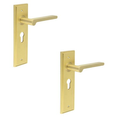 2 PACK Elegant Satin Brass Euro Lock Door Handle with Backplate - Solid Brass Interior Handle