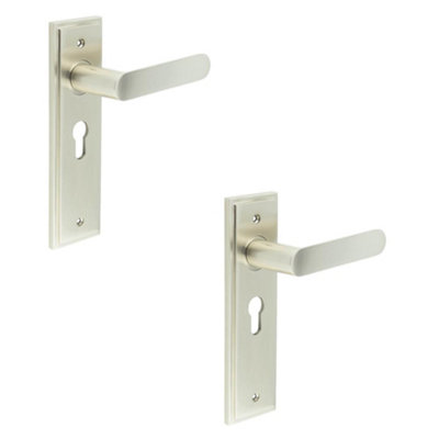 2 PACK Elegant Satin Nickel Door Handle with Euro Backplate for Luxurious Interiors - Solid Brass Interior Handle
