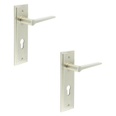 2 PACK Elegant Satin Nickel Door Handle with Euro Backplate for Modern Homes - Solid Brass Interior Handle