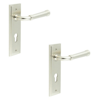 2 PACK Elegant Satin Nickel Euro Backplate Door Handle for Luxury Interiors - Solid Brass Interior Handle
