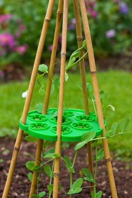 2 Pack Green Wigwam Cane Grips 10 Hole Plant Support Rings for Climbing ...