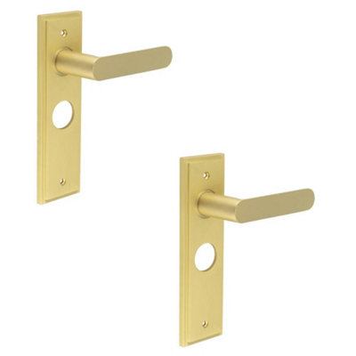 2 PACK Luxurious Satin Brass Bathroom Door Handle with Backplate - Solid Brass Interior Handle