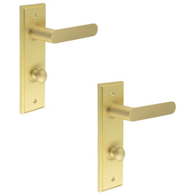 2 PACK Luxurious Satin Brass Door Handle with Backplate for Bathroom - Solid Brass Interior Handle