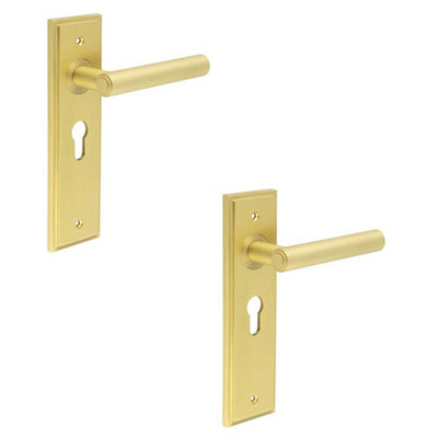 2 PACK Luxurious Satin Brass Euro Door Handle with Backplate - Solid Brass Interior Lever