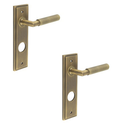 2 PACK Luxury Antique Brass Door Handle with Backplate for Bathrooms - Solid Brass Interior Handle